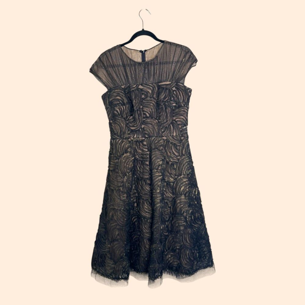 Tadashi Shoji Sheer Mesh Lace Dress